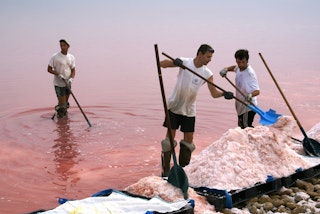 Visite du Salin d’Aigues‑Mortes