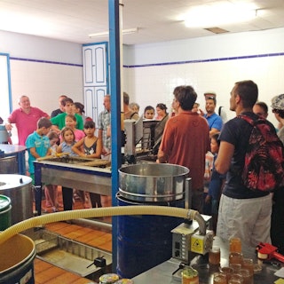 Visite guidée de La Miellerie de l’Oratoire