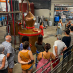 Visite guidée de la distillerie Maison Manguin