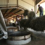 Visite guidée de la distillerie Aroma’Plantes à Sault