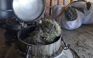 Visite guidée de la distillerie Aroma’Plantes à Sault