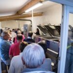 Visite du Moulin à Huile d’Olive Lou Mouli d’Oli