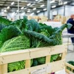 Visite du Marché de Gros Lyon-Corbas