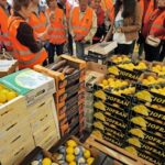 Visite du Marché de Gros Lyon-Corbas