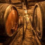 Visite des caves du Domaine Jean-Baptiste Adam
