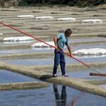 Visite des marais salants de Guérande – Terre de Sel
