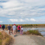 Visite des marais salants de Guérande – Terre de Sel