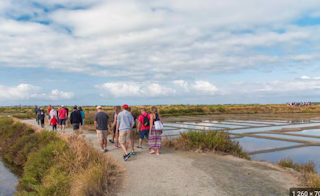 Visite des marais salants de Guérande – Terre de Sel