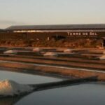 Visite des marais salants de Guérande – Terre de Sel
