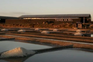 Visite des marais salants de Guérande – Terre de Sel
