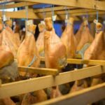 Visite guidée de l’atelier du jambon Pierre Ibaialde