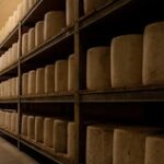 Visite guidée de la fromagerie Jeune Montagne