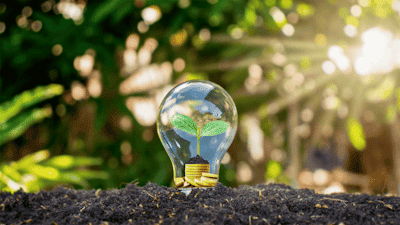 Ampoule contenant une plante en pleine croissance, illustrant les valeurs d'innovation et d'authenticité